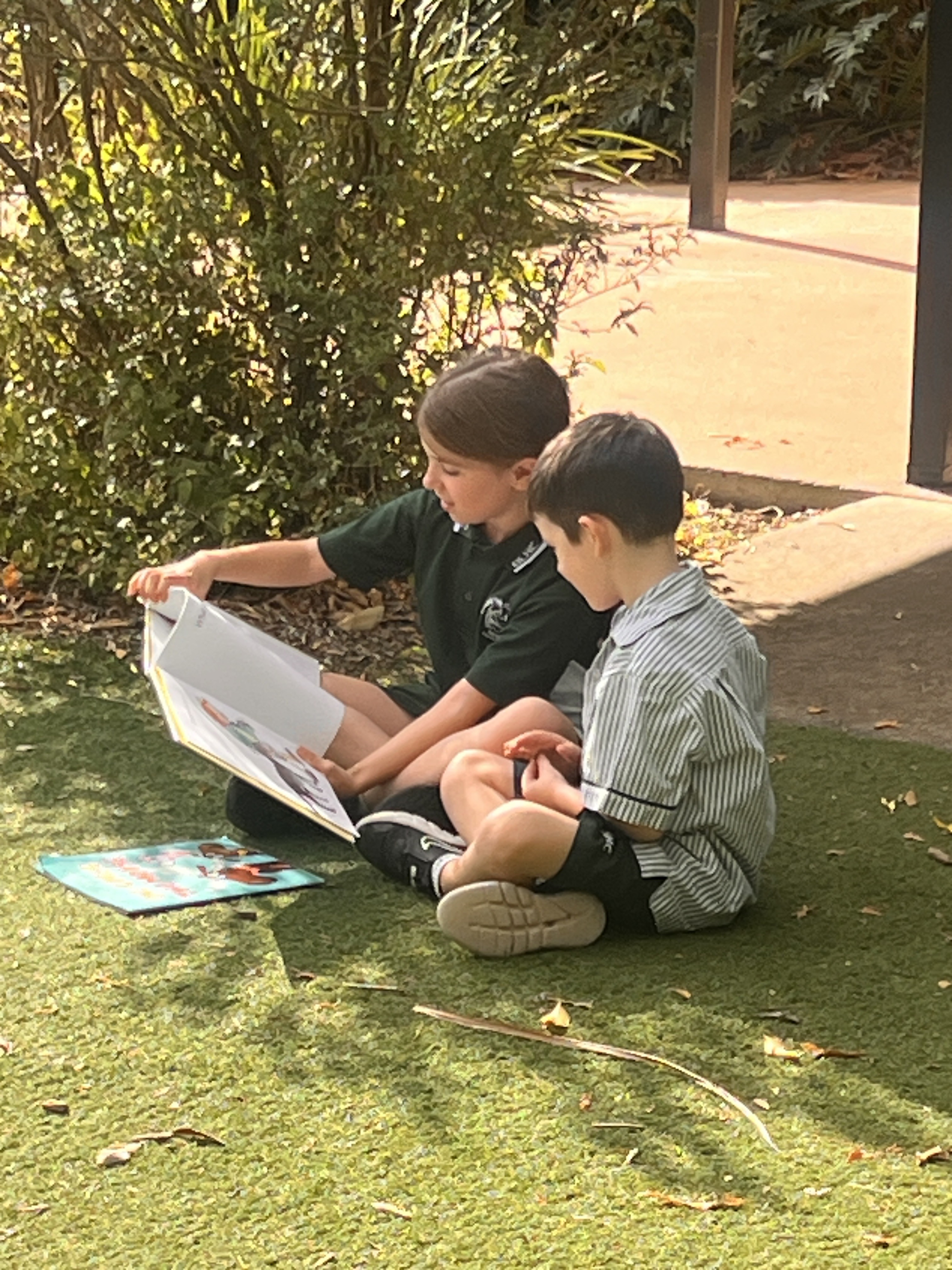 Buddy Reading in the Nature Play Space Buddy Reading in the Nature Play Space